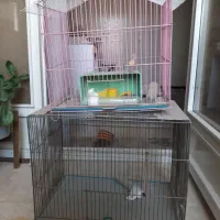 قفس پرنده