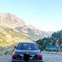 206 sd v8|خودرو سواری و وانت|سنندج, |دیوار