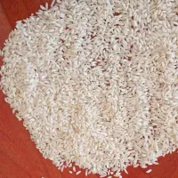 برنج طارم وسرلاشه.طارم