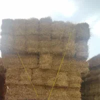 پرس گندم وگلزا