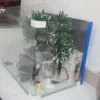 آکواریوم شیشه خم شرکتی درحدنو بالوازم کامل
