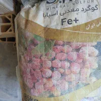 گوگرد