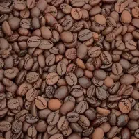 قهوه کف قیمت شیراز