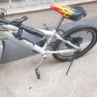 دوچرخه بیست تنه آهنی