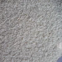 برنج علی کاظمی از تولید به مصرف