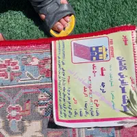 فروش فرش ماشینی