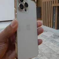 ۱۳ پرومکس
