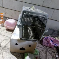 باکس سایز ۳ مناسب  سگ و گربه