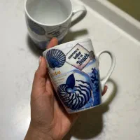 فنجان و ماگ وارداتی