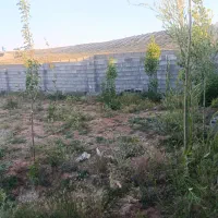 باغچه-1000-متری