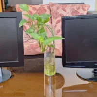 مانیتور ویژه