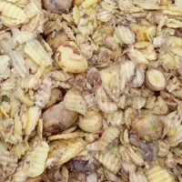 سیب زمینی دامی