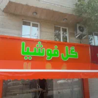 تولید و اجرای سایبان  بازویی و کالسکه ی و دکوراتیو