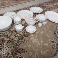 ۲۵۰۰۰۰۰|ظروف سرو و پذیرایی|علیآباد کتول, |دیوار