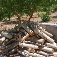 چوب برای هیزم و ذغال