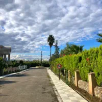 فروش زمین شهرک برند منطقه نمک آبرود 500 متر