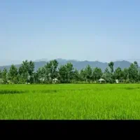 ویلا قدیمی ۴۲۷متر/انشعابات وصل