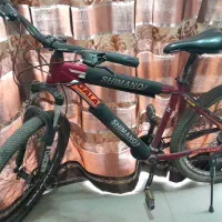 دوچرخه|دوچرخه، اسکیت، اسکوتر|مشهد, ایثارگران|دیوار