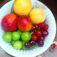 گیلاس|خوردنی و آشامیدنی|مشهد, سیسآباد|دیوار