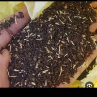 سبنج|خدمات باغبانی و درختکاری|تربت‌حیدریه, کوی شهید احمدزاده ملکی|دیوار