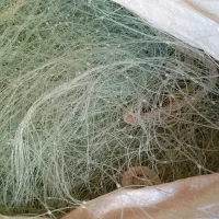 روستای نثاره بزرگ