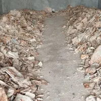 نان خشک دامی