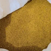 بذر محلی یونجه