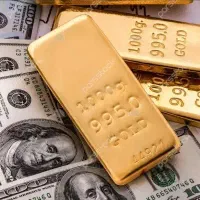 ثبت نامکن 5 میلیون تومان بگیر واقعی