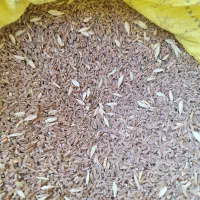 پرشه|خوردنی و آشامیدنی|مریوان, |دیوار