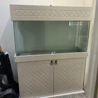 آکواریوم شیشه خم