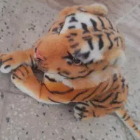عروسک