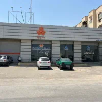 نیسان دوگانه خاکستری EX