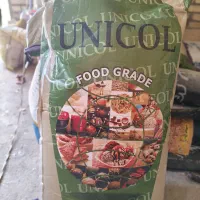 ثعلب گوارگام