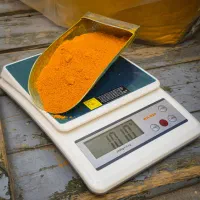 زردچوبه زرین اصل هندی