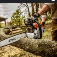 هرس وبرش انواع درخت و خرید چوب درختی