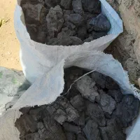 زغال کبابی انگور با سنجد