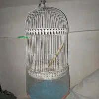 قفس ایستاده