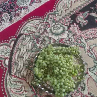 فروش غوره درجه یک
