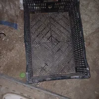 سبد