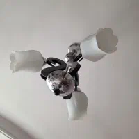 لوستر|لوستر و چراغ آویز|تهران, جی|دیوار