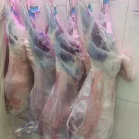 گوشت ۹۵۰ کالابرگ فعال (فقط محدود می‌باشد بشتابین)