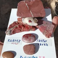 جاسپر زیبا قرمز