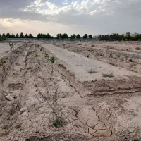 باغچه-رباط-کریم