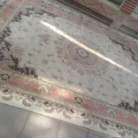 دوتا ۱۲ متری