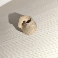سنگ هلزون