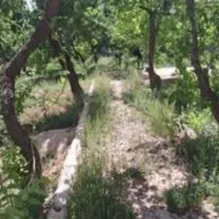 به دنبال کارنگهبانی هستم