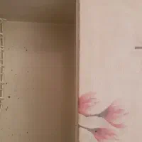 کابنت ابچکنان