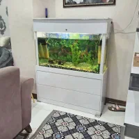 آکواریوم