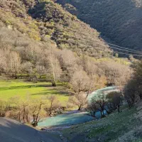 خونه-باغی