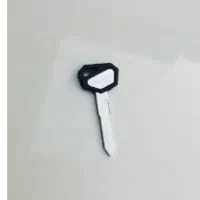 کلید گمشده